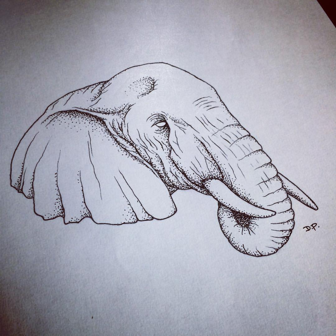 Simple dotwork white-eyed elephant head tattoo design