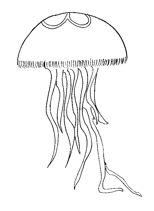 Simple outline jellyfish with some print on head top tattoo design
