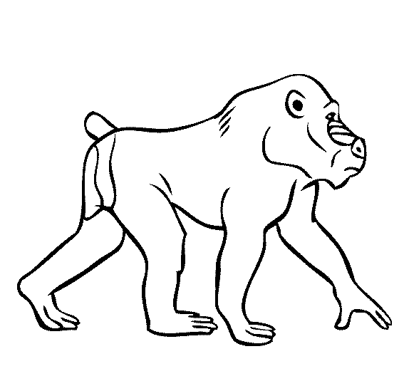 Simple outline walking baboon tattoo design