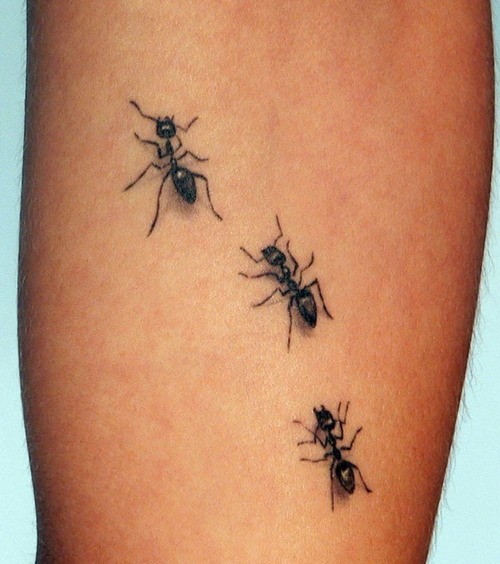 Simple realistic black-ink ant tattoo on arm