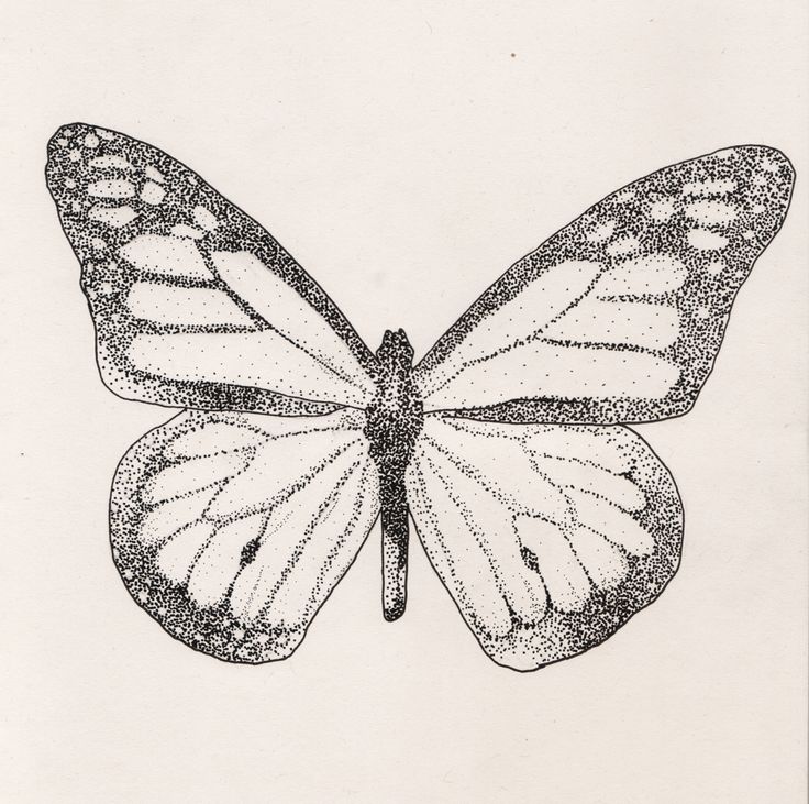 Simple uncolored dotwork butterfly tattoo design