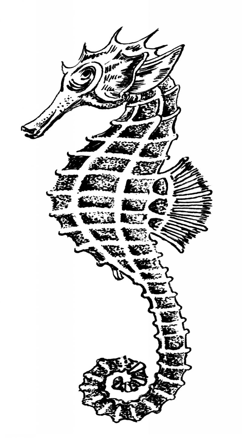 Slim black-and-white seahorse tattoo design