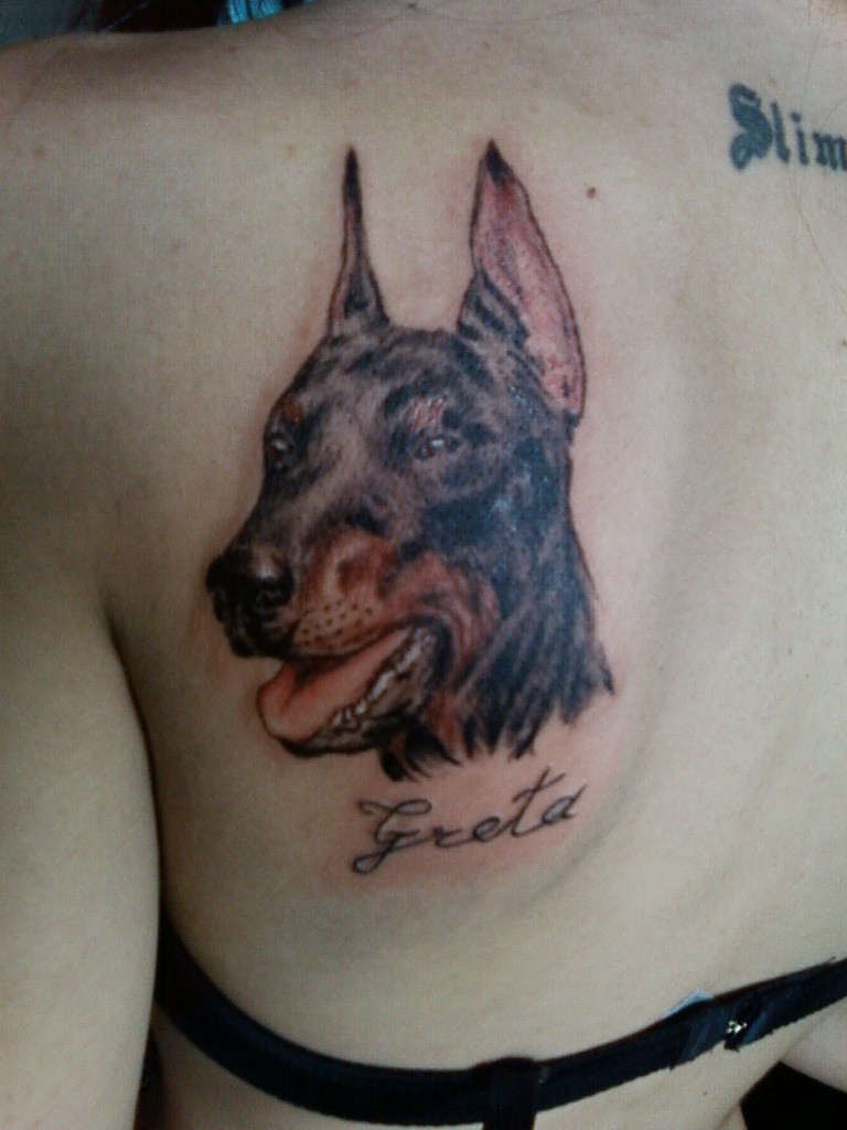 poccolo eccezionale testa cane Doberman tatuaggio su scapola