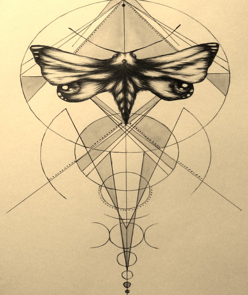 Small black moth on grey geometric drawings tattoo design