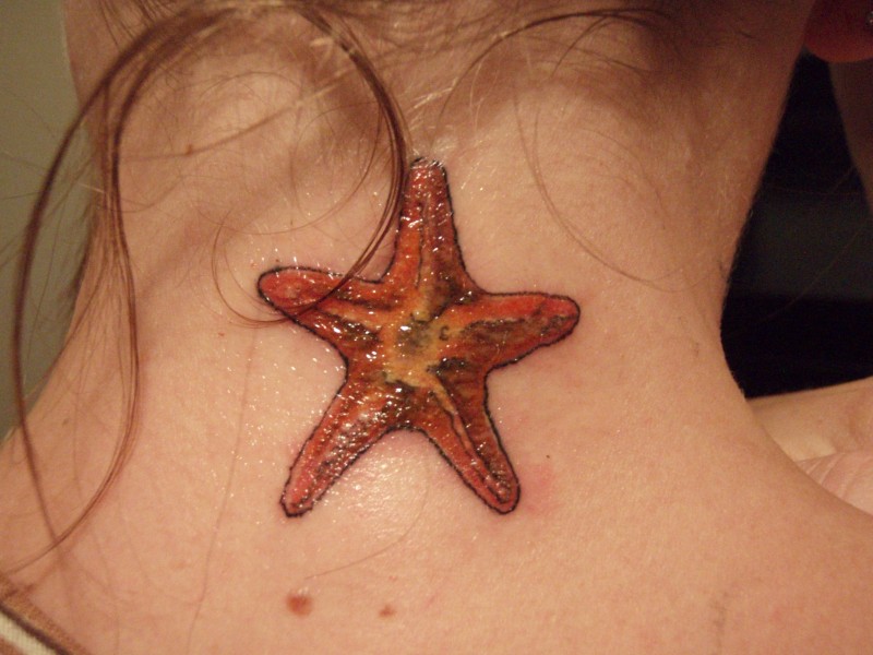 Kleiner cooler orange Seestern Tattoo im Nacken