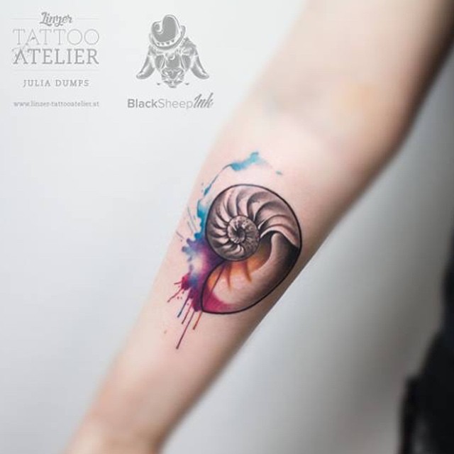 Small cute looking colored nautilus shell tattoo on forearm