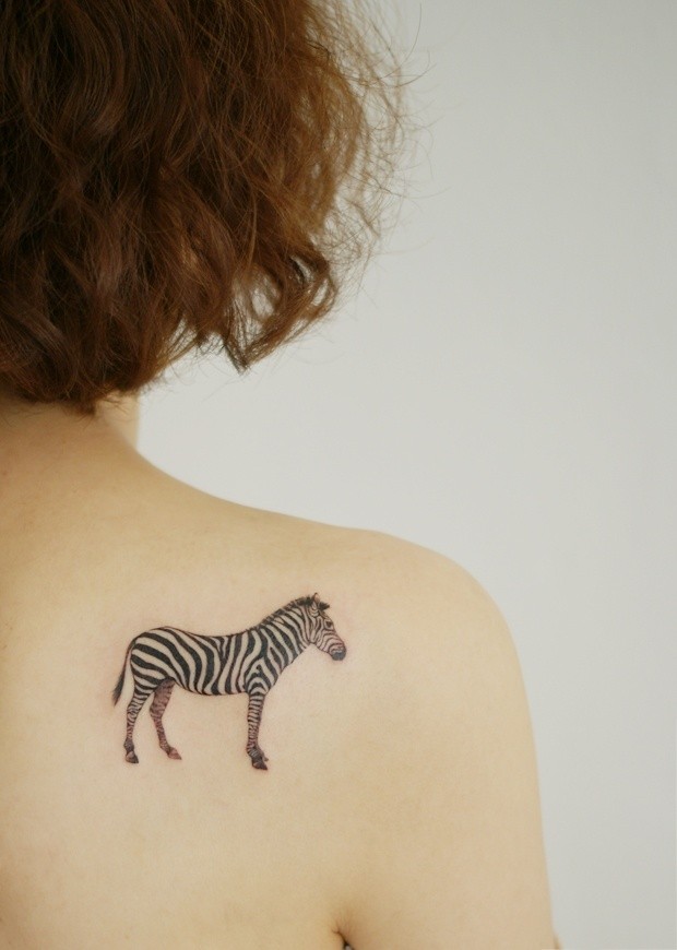 piccolo carino zebra tatuaggio su schiena a parte superiore