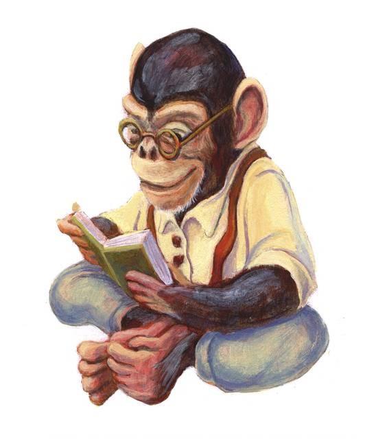 Smart colorful reading chimpanzee tattoo design by Matthew Finger Art