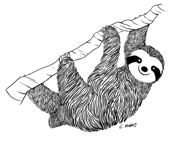 Smiling sloth tattoo design by Yen Yang88
