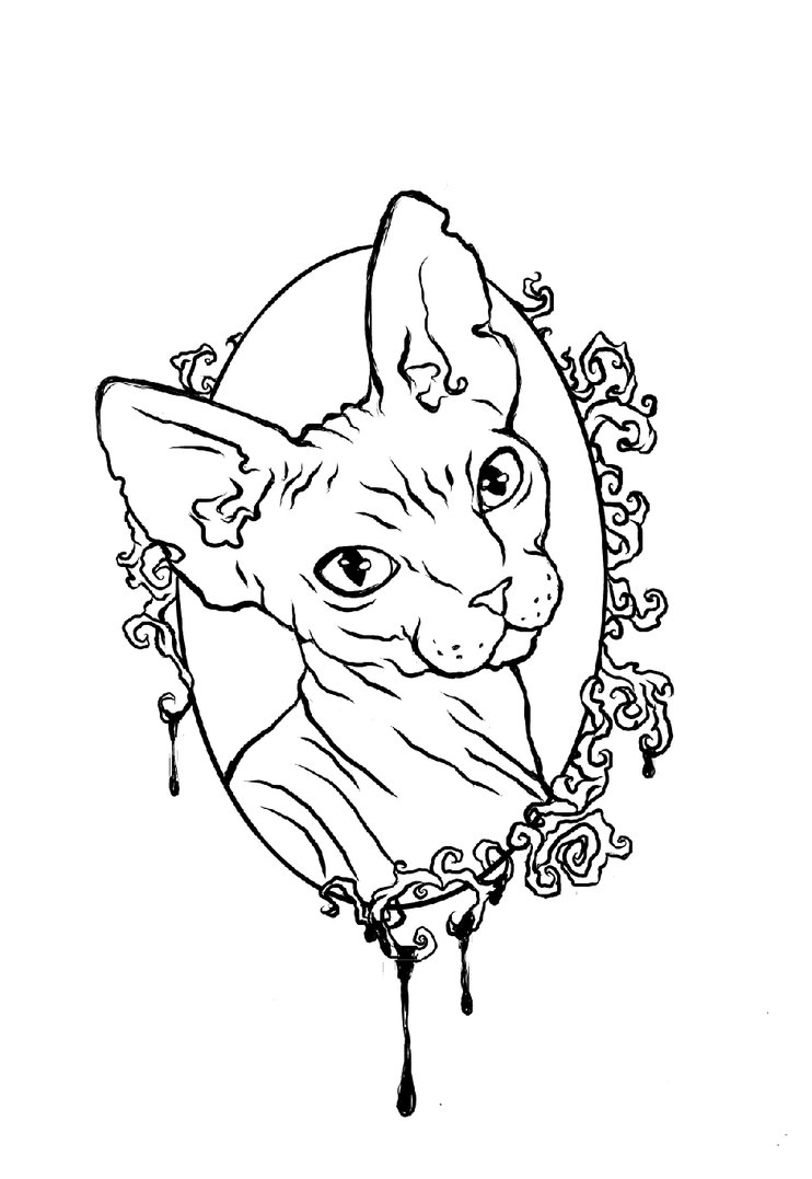 Sphynx cat portrait in curled frame tattoo design by Morfina92