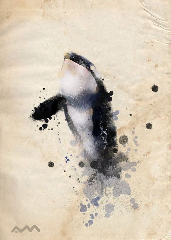 Splendid black-and-white watercolor whale tattoo design