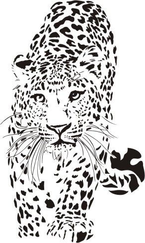 Splendid colorless walking jaguar tattoo design