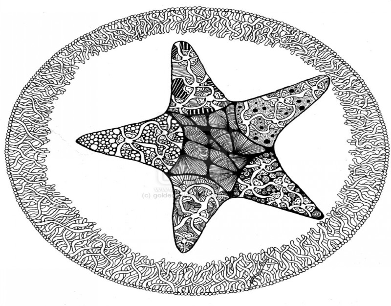 Splendid different-printed starfish in weed decorated circle tattoo design