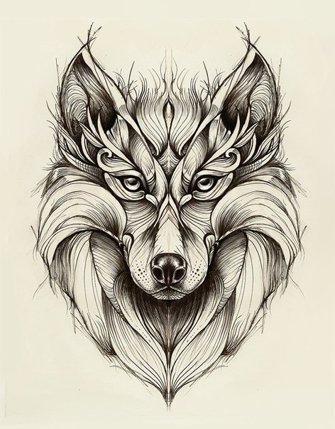 Splendid grey-pencil wolf portrait tattoo design