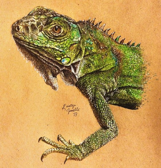 Splendid realistic grey lizard tattoo design