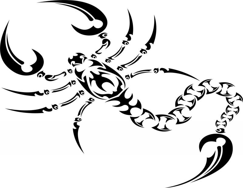 Splendid tribal scorpion with extremly long tail tattoo design