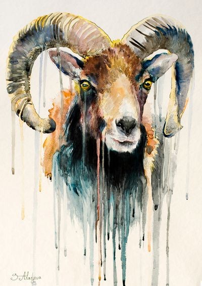 Splendid watercolor ram portrait tattoo design