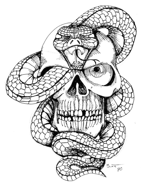 Square-scaled snake and skull by Hassified