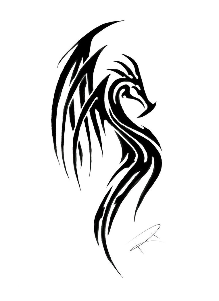 Tatuagem de dragão tribal preto padrão por Ripasquale