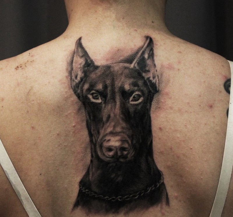 Tatuaje  de dóberman  negro en la espalda