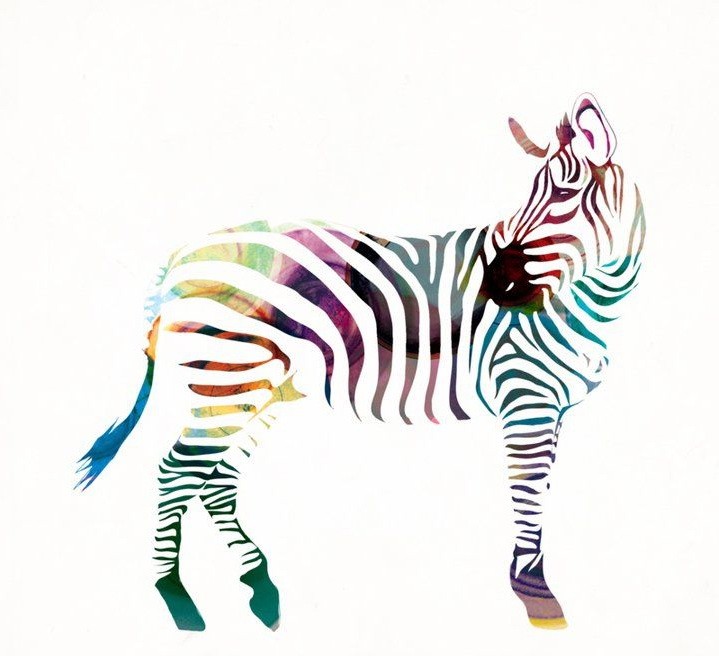 Static colorful zebra in full growth tattoo design
