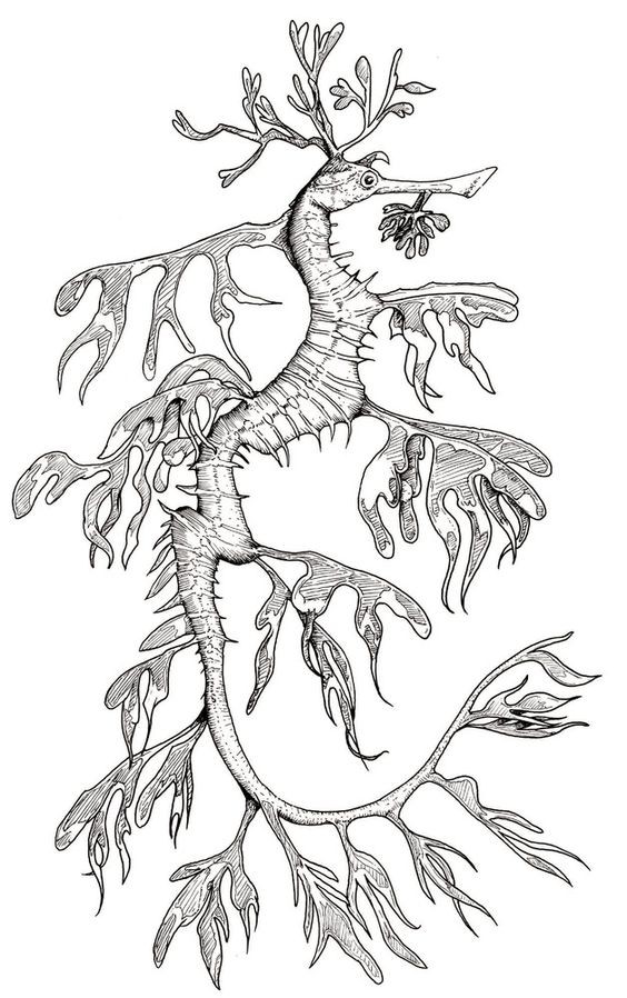 Strange grey-ink tree-like seahorse tattoo design