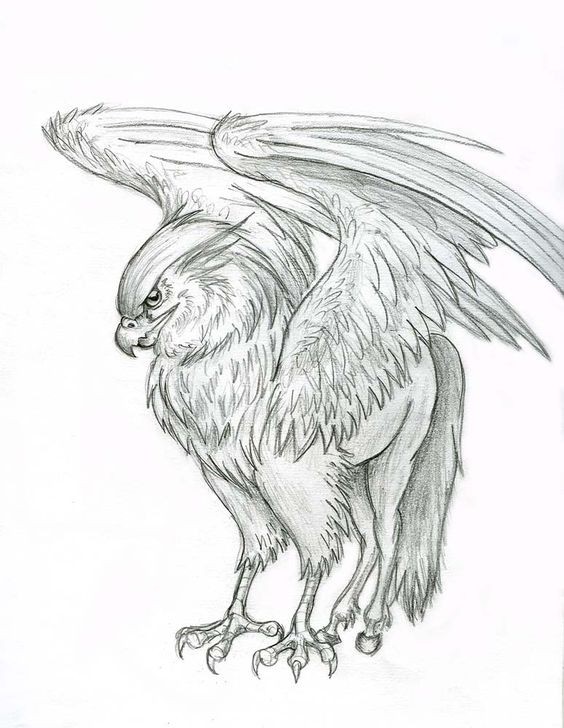 Strict pencilwork griffin waiting for something tattoo design