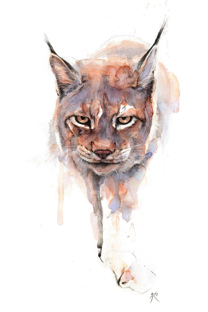 Strict watercolor wild animal with sharp ears tattoo design