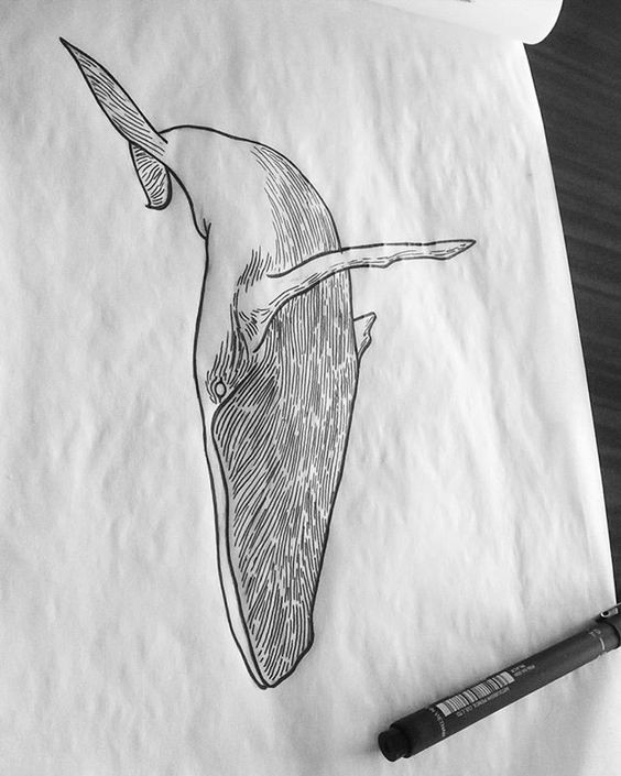 Striped-belly whale swimming down tattoo design