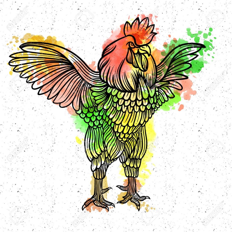Strong black-contour open-winged rooster with bright watercolor effect tattoo design