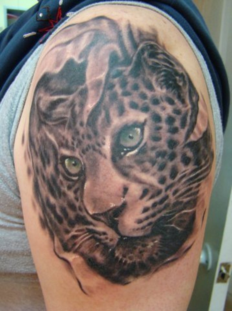 Stunning natural looking detailed little animal leopard tattoo on shoulder