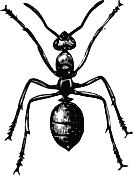 Super black-and-grey ant tattoo design