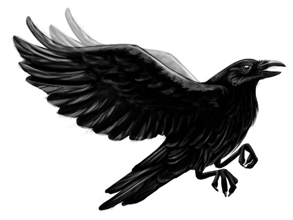 Super black flying raven by Ot Co