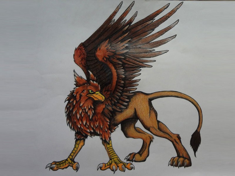 Super colorful lion griffin tattoo design