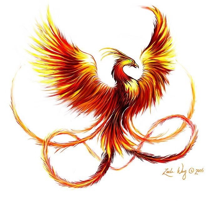 Super green-eyed burning phoenix tattoo design