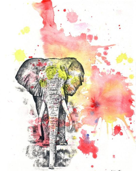 Super grey elephant on yellow-and-red watercolor background tattoo design