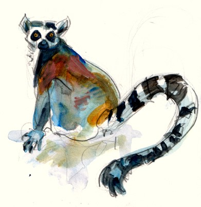 Super montly watercolor sitting lemur tattoo design by Artemisiasynchroma