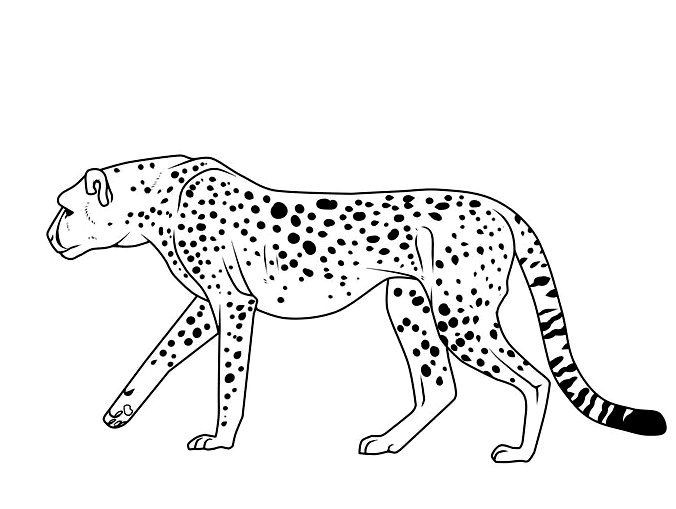Super outline stealing cheetah figure tattoo design