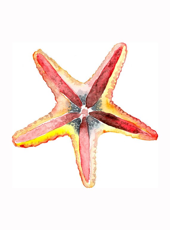 Super red-and-yellow watercolo starfish with turquoise center tattoo design