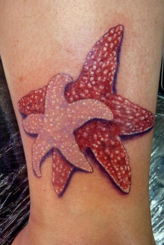 eccezionale rocco e rosa stella marina tatuaggio su stinco di uomo