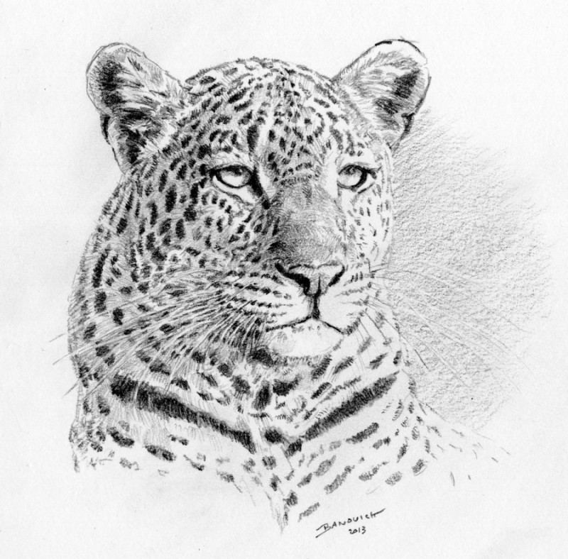 Superb grey-and-white jaguar portrait tattoo design