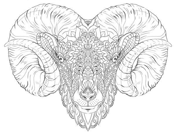 Superb outline ornate ram tattoo design