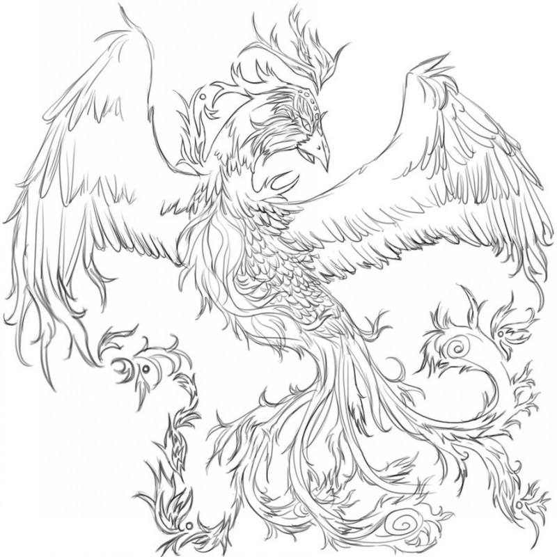 Superb uncolored cartoon phoenix bird tattoo design