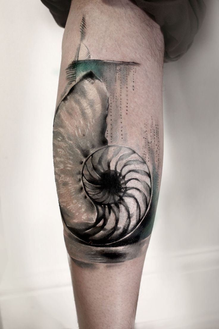 Superiror black ink very detailed nautilus tattoo on leg