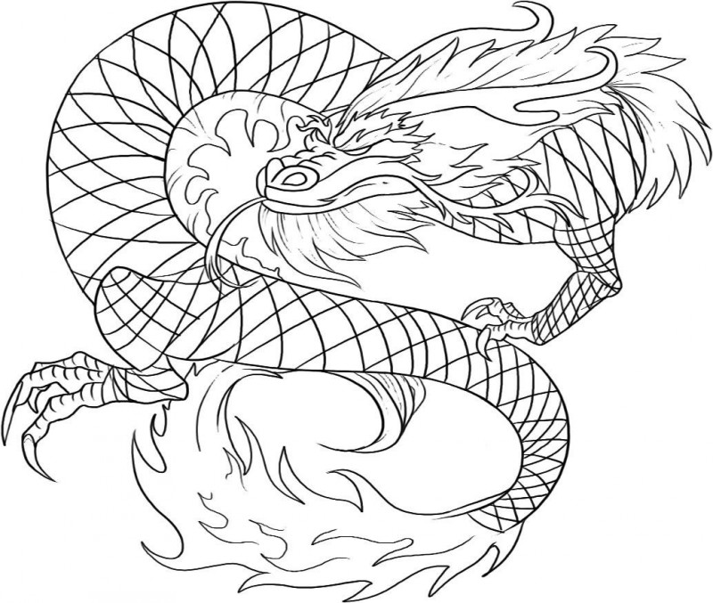 Desenho de tatuagem de dragão oriental incolor suspeito