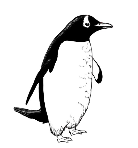 Sweet black-and-white penguin in full size tattoo design