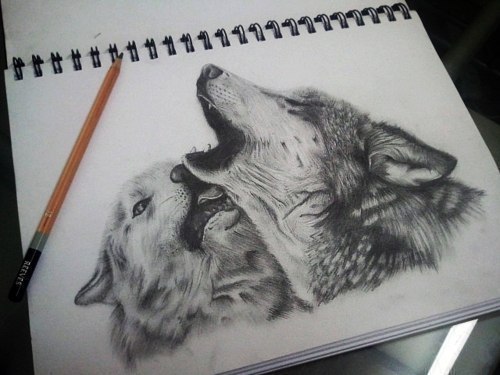 Sweet black and white wolf couple tattoo design