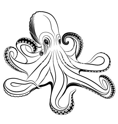 Sweet black vector octopus tattoo design