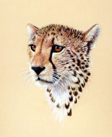 Sweet brown-eyed cheetah baby portrait tattoo design