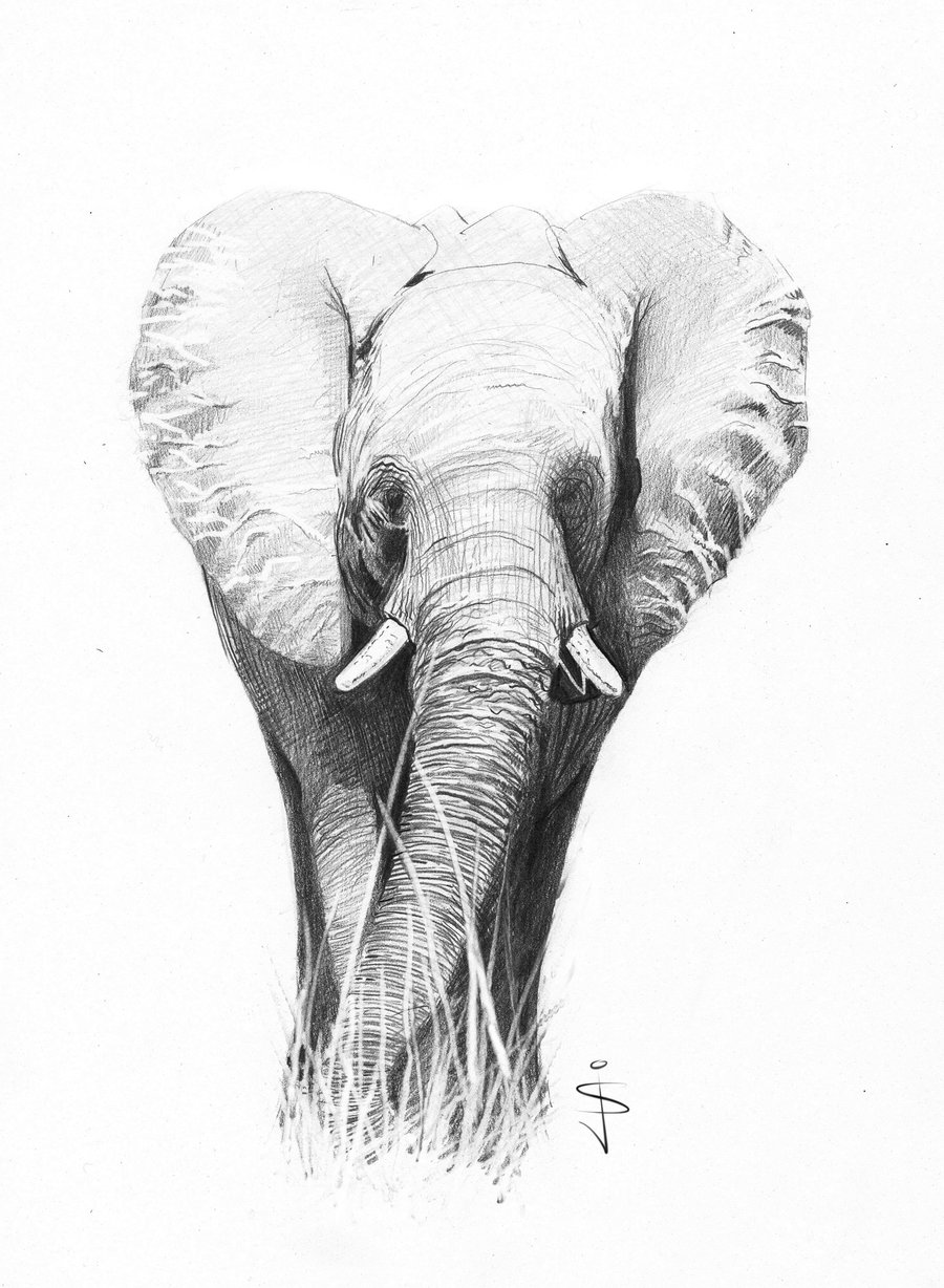 Sweet calm grey-color elephant tattoo design by Szymczuk